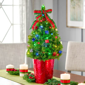 Colorful Presents Potted Spruce Tree - Colorful Presents Potted Spruce Tree - Predecorated